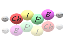 Logo zespołu Chemii i Inżynierii Peptydów i Białek